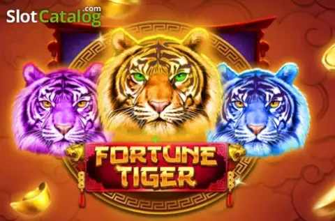 BJ77 casino Bangladesh user registration process